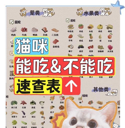 猫咪除了猫粮还需要吃哪些食物？如何为猫咪提供均衡饮食？