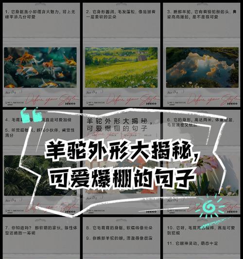羊驼很可爱怎么形容？有哪些生动的描述词汇？