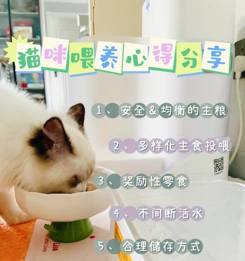 如何鉴别竞猜猫粮的真伪？