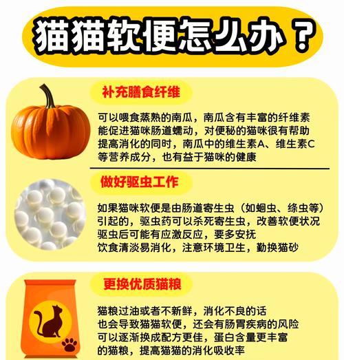 猫咪进食后立即拉稀可能的原因是什么？