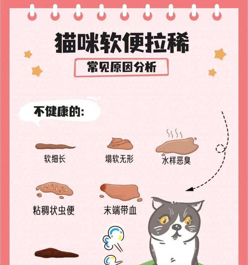 猫咪进食后立即拉稀可能的原因是什么？