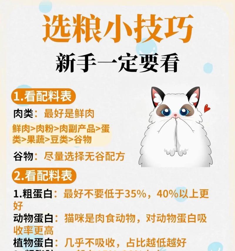 如何让猫咪更喜欢吃猫粮？有哪些方法可以提高猫粮的吸引力？