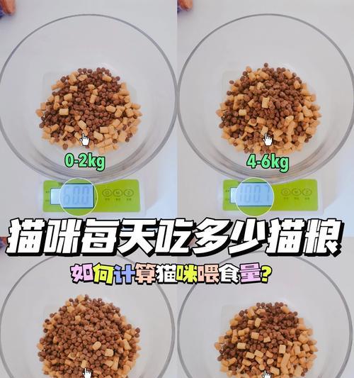 如何让猫咪更喜欢吃猫粮？有哪些方法可以提高猫粮的吸引力？