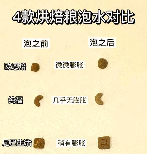 猫粮泡水后食用是否等同于饮水？这样做对猫有什么影响？