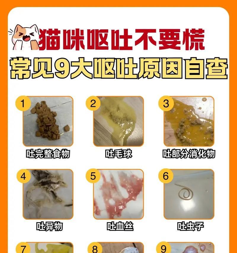 小孩吃猫粮为什么会吐？猫粮对小孩健康有影响吗？