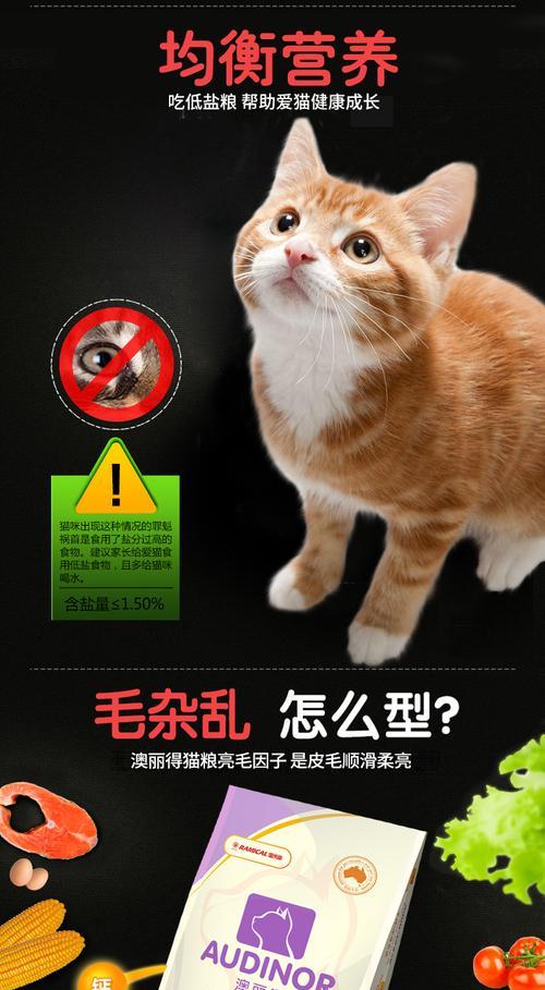 员工偷拿猫粮是否违法以及处理方法？