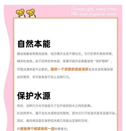 小猫吃猫粮时叫妈妈是为什么？这种行为的可能原因是什么？