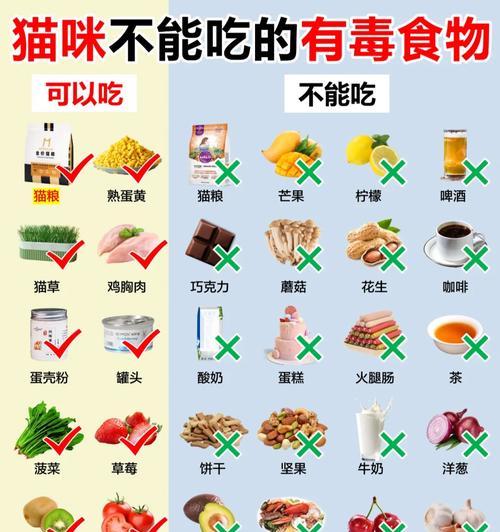猫粮中的d-生物素有何作用？对猫咪健康有何影响？