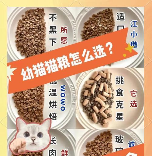 怎么选好吃的猫粮对猫好？有哪些标准可以参考？