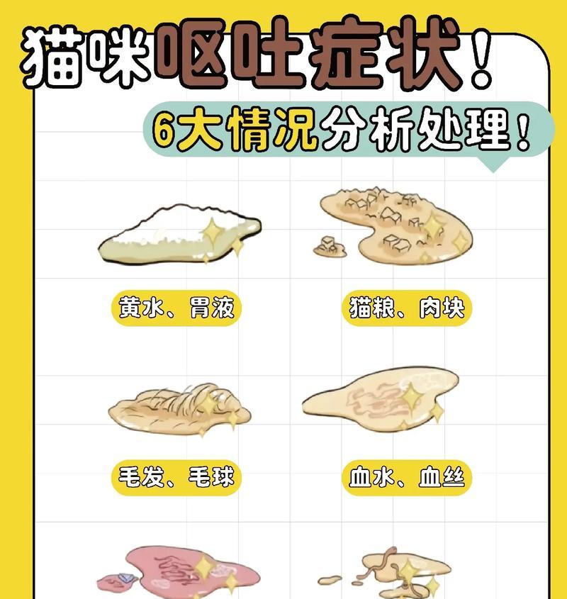 宠物猫吃鱼会吐刺嘛怎么回事啊