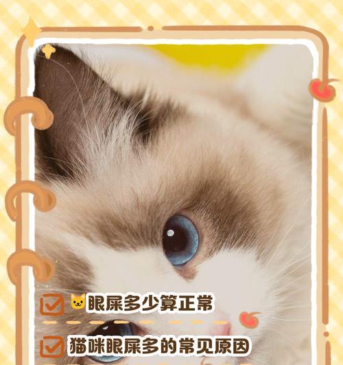 肉多的猫粮会有眼屎吗？这是什么原因导致的？