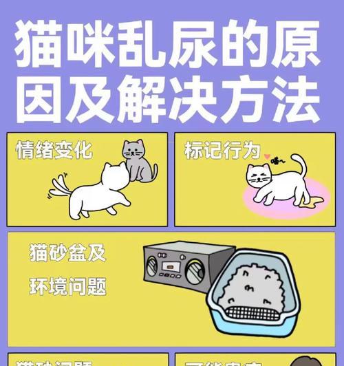猫咪换粮后乱拉乱尿是何原因？如何解决？