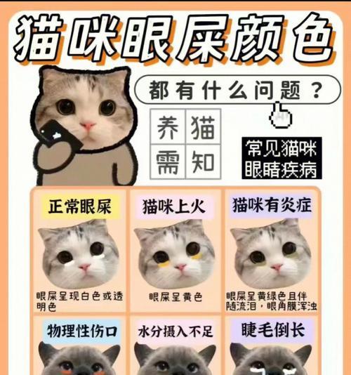 猫咪吃猫粮流泪的原因是什么？如何预防这种情况？