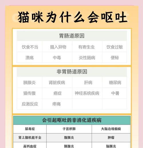 注射猫粮后猫咪呕吐的原因是什么？如何预防和处理？