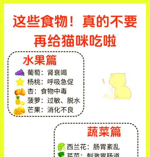如何为小猫提供无猫粮的过渡食物？