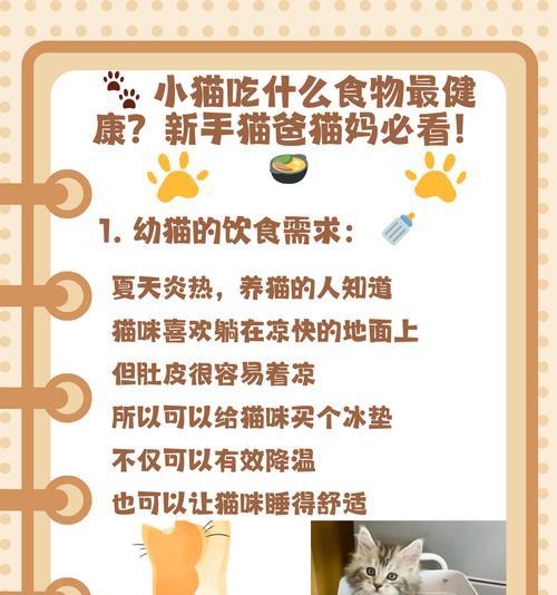 如何为小猫提供无猫粮的过渡食物？
