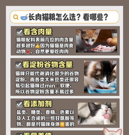 猫咪为何用手扒猫粮？这是什么行为？