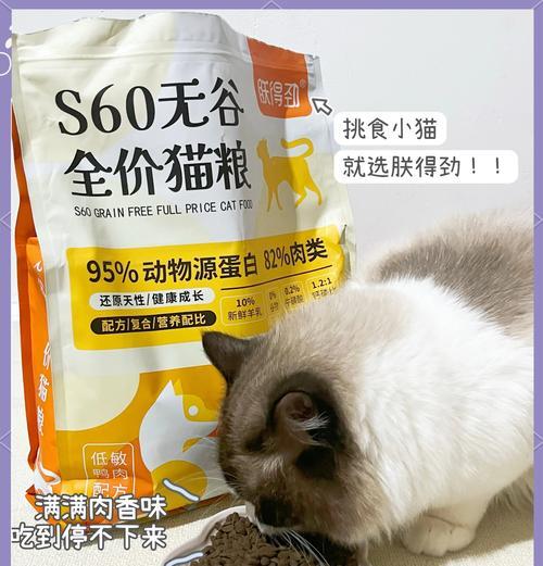猫咪舔鼻子不吃猫粮怎么办？这是什么原因导致的？