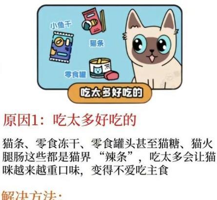 成猫只喝水不吃猫粮是什么原因？