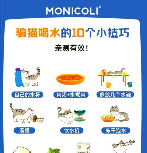 成猫只喝水不吃猫粮是什么原因？
