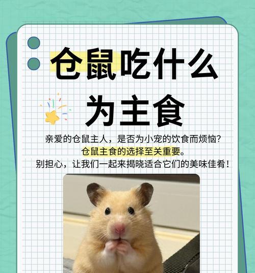 仓鼠粮食与猫粮有何不同？
