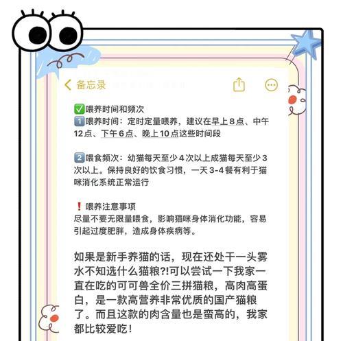 猫粮用完后应该什么时候喂猫咪？如何安排猫咪的喂食时间？