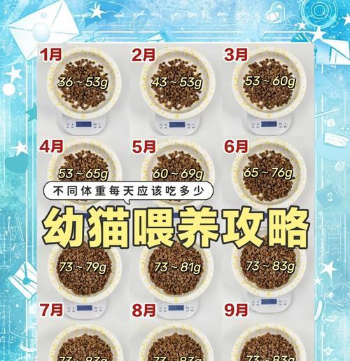 猫粮用完后应该什么时候喂猫咪？如何安排猫咪的喂食时间？