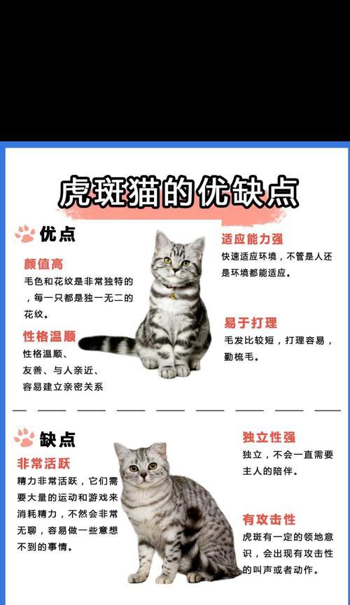 虎斑猫拒食猫粮的原因及解决方法是什么？