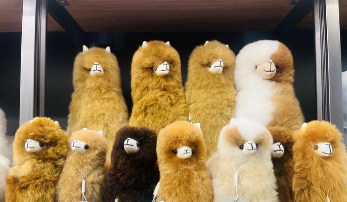 狗场怎么自制喂粮神器呢？质量好的玩偶羊驼品牌是什么？