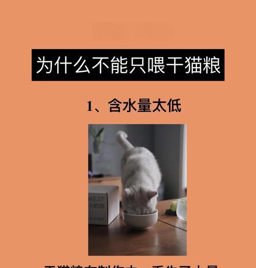 人为什么不喜欢吃猫粮？猫粮对人类是否健康？