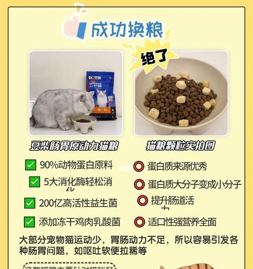 猫咪便秘时应吃什么？哪种猫粮有助于缓解便秘？