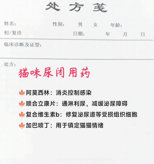 猫咪换粮后出现尿闭症状应吃什么药？如何处理换粮引起的不适？