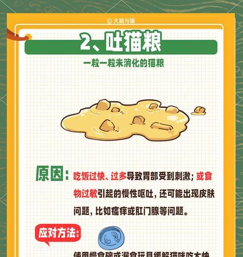 新猫粮导致呕吐怎么办？如何平稳过渡到新猫粮？