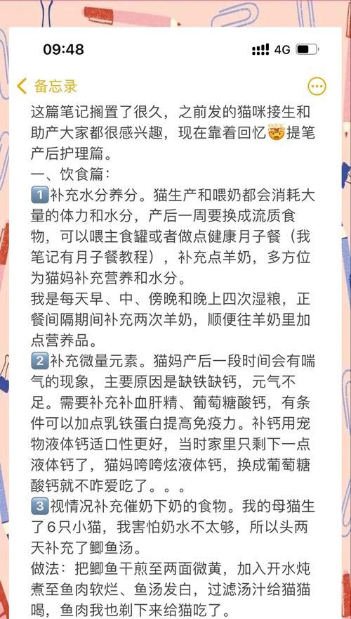 坐月子期间猫咪只吃猫粮如何解决？需要补充什么营养？