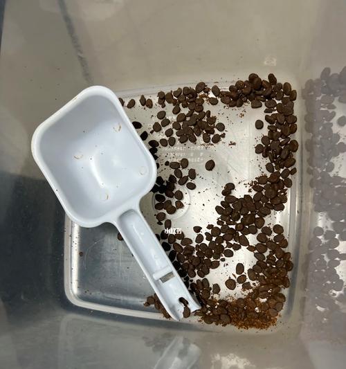 猫粮常有虫子应如何处理？