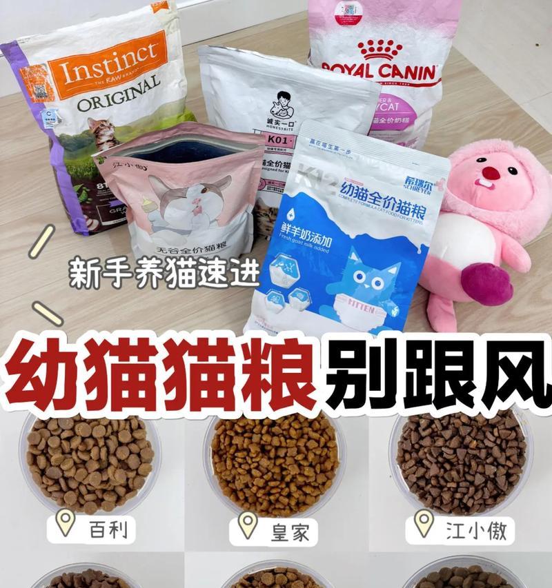 硬猫粮对小猫仔有何影响？