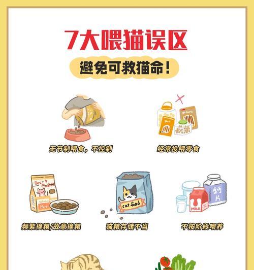 长期过量喂食猫粮对猫咪有何影响？