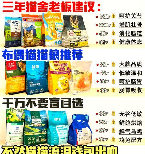 布偶猫何时应该更换成年猫粮？