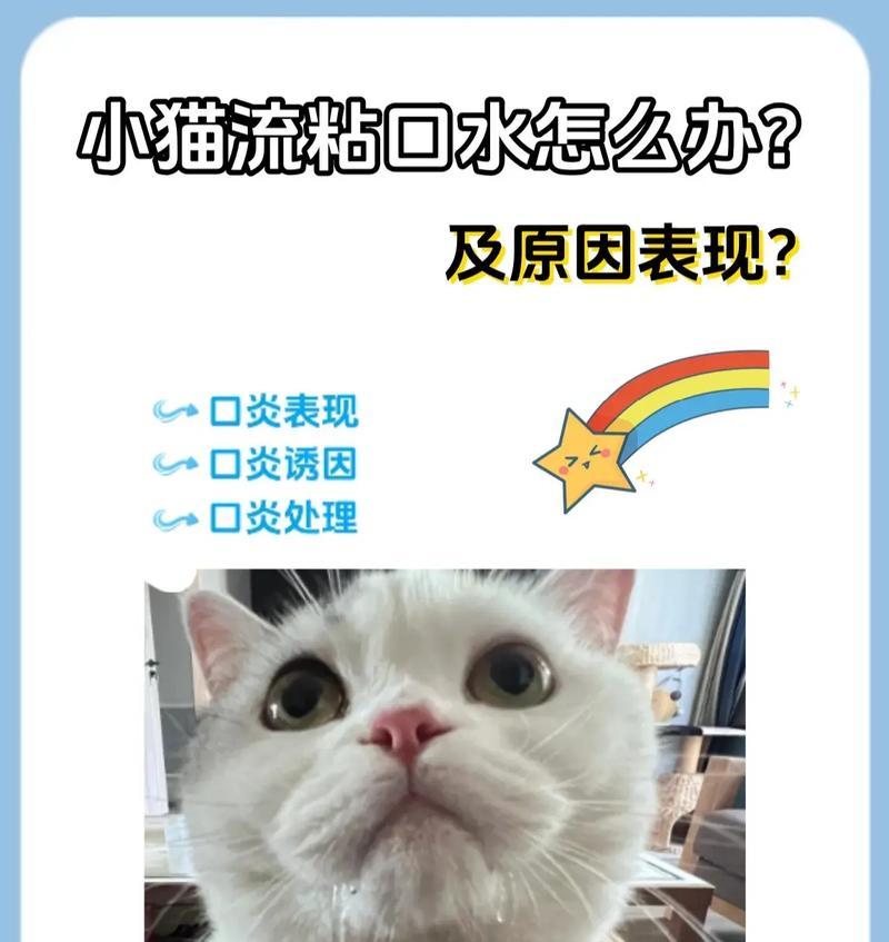 猫咪不吃猫粮还流口水是什么问题？如何解决？