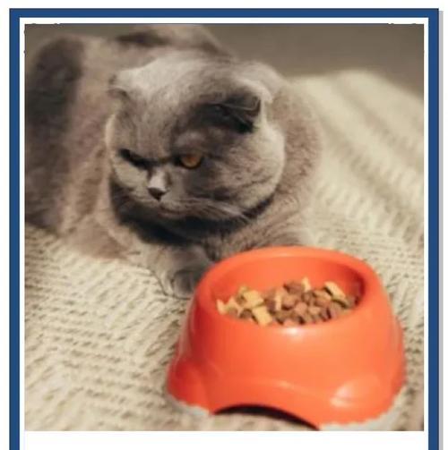 猫咪突然不吃猫粮改吃米饭是何原因？是否需要担心？