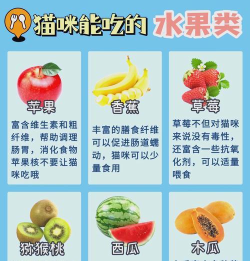 猫同时吃猫粮和饭是正常吗？如何平衡饮食？