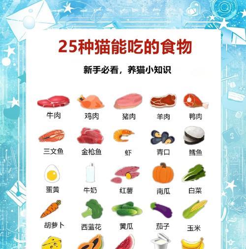 猫同时吃猫粮和饭是正常吗？如何平衡饮食？