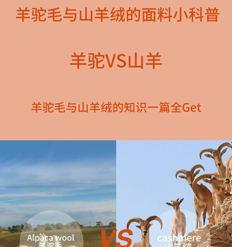 如何鉴别羊驼面料的质量？哪些特征表明面料是优质的？