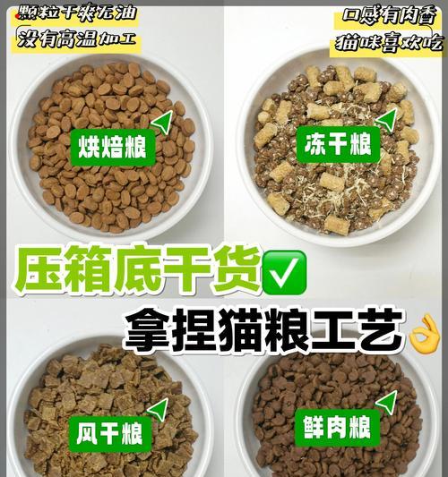 老年猫咪的猫粮选择有哪些？