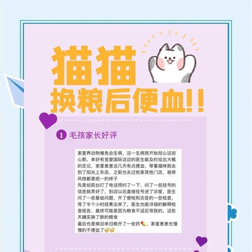 换粮后猫咪出现带血情况怎么办？需要服用什么药物？