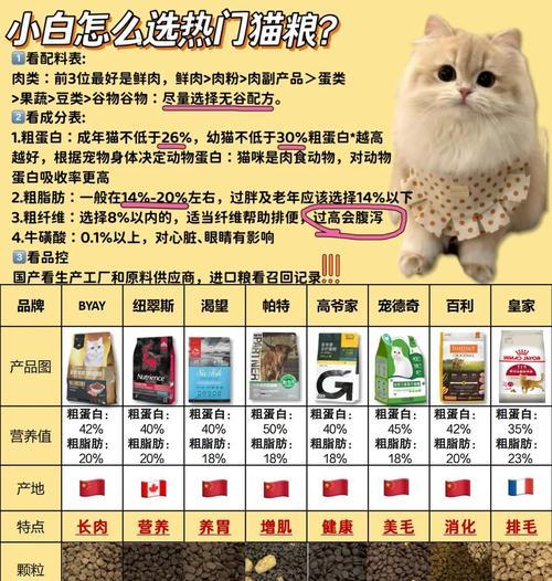养猫什么猫粮合适？如何挑选适合的猫粮品牌？