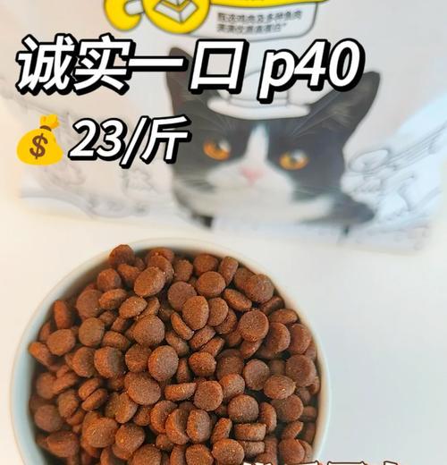 月收入1000能负担哪种猫粮？如何平衡预算和猫的营养需求？