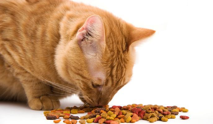 猫咪吃不完的猫粮会怎样？长期存放有何风险？