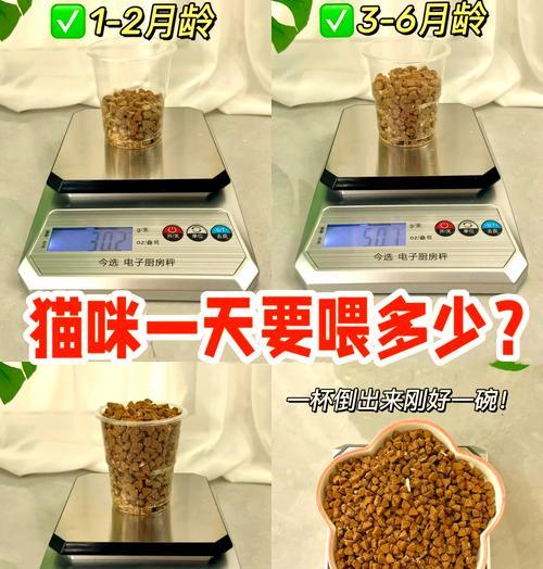 喜喵猫粮导致猫咪体重增加的原因？