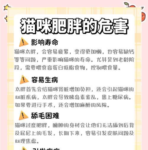 喜喵猫粮导致猫咪体重增加的原因？